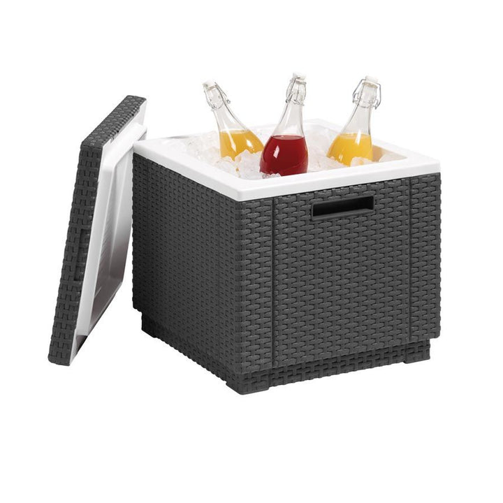 Keter Allibert Ice Cube – Tuin koelkast  - 42x42x41cm - Grafiet