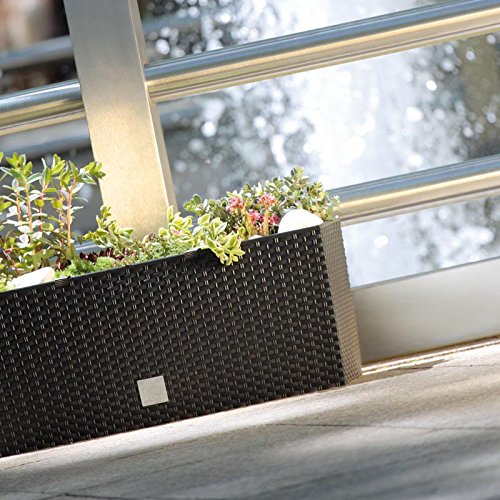 Prosperplast Rato-Case Rotan Bloemenpot DRTC500 440U-umbra