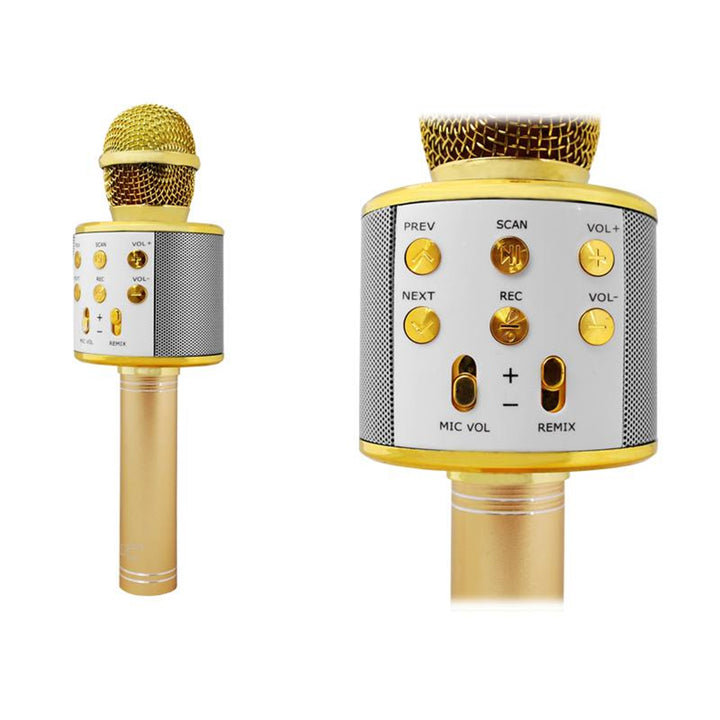 LTC MIC100 Draadloze Bluetooth-microfoon met luidspreker Karoke-handmicrofoon 5W (goud)