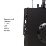 Audiocore AC730 Draagbare bluetooth luidspreker Draadloos 11W Uitgangsvermogen/ Radio / SD / MMC / Aux-in / USB / Verlichting / Afstandsbediening / Handvat