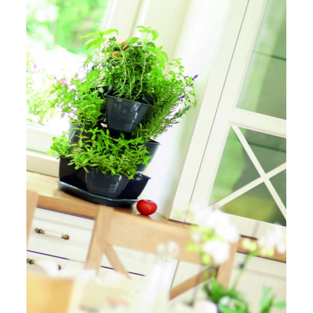Drievoudige cascade pot voor kruiden Coubi Herbal antraciet