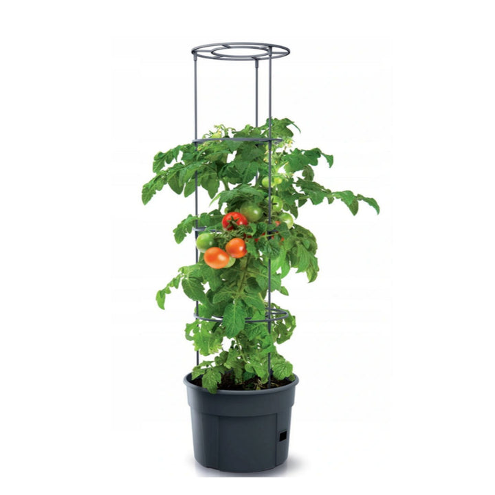 Prosperplast Pot à tomates résistant au gel Producteur de tomates IPOM300