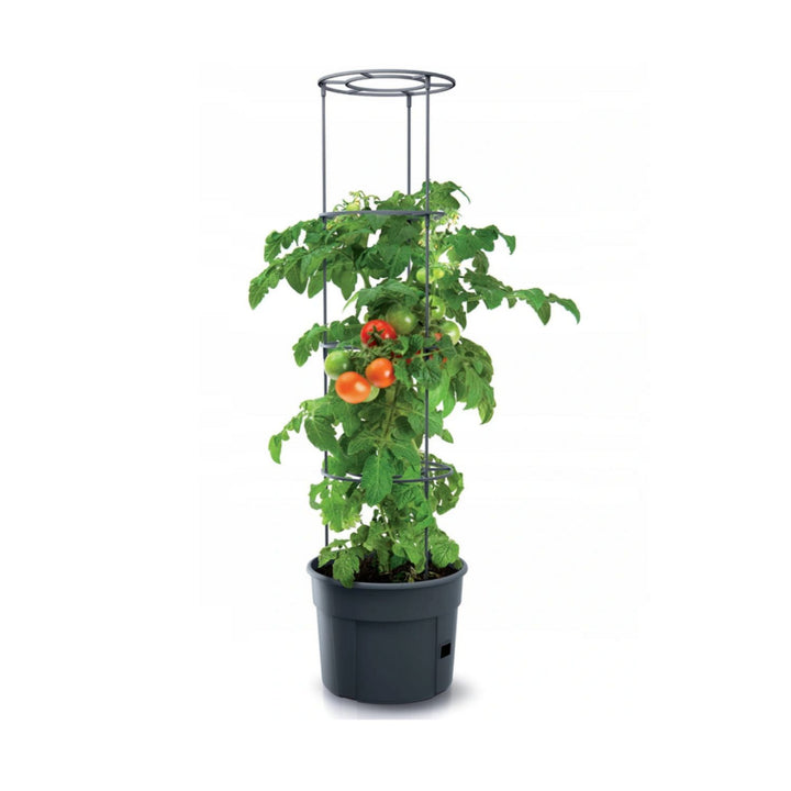 TOMATENPOT VOOR HET KWEKEN VAN TOMATEN PROSPERPLAST 28L