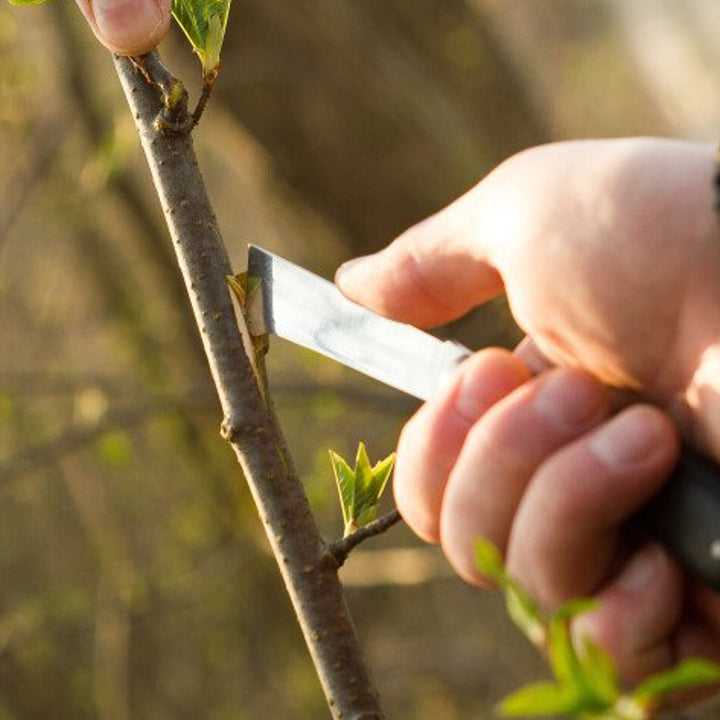 Cellfast Tuinmes, zakmes, bloemenmes met stalen lemmet