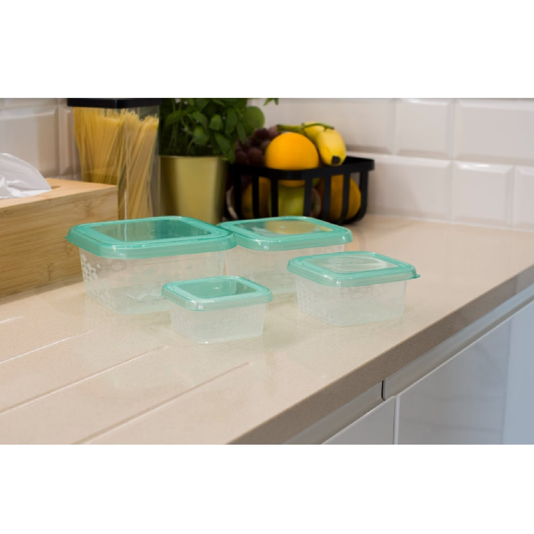 BranQ - Lot de 4 boîtes de rangement avec couvercles - Sans BPA