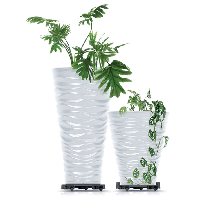 Prosperplast - Plat Mobile Pot de Fleur Rond Dessous de Verre avec Roues Rouleau de Plantes Rouleau de Fleurs Rotatif à 360 Degrés Rond Ø 29,2 cm