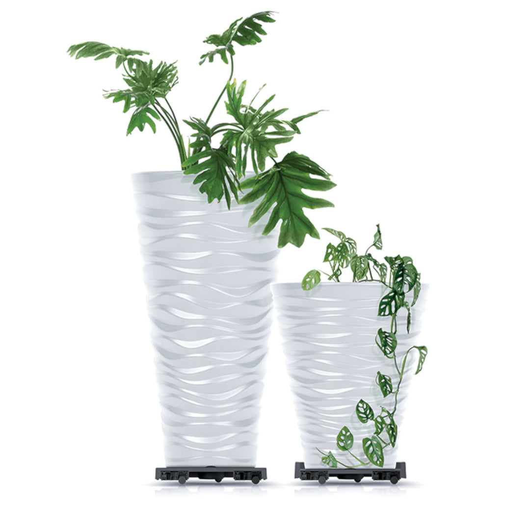 Prosperplast - Plat Mobile Pot de Fleur Rond Dessous de Verre avec Roues Rouleau de Plantes Rouleau de Fleurs Rotatif à 360 Degrés Rond Ø 44,6m...