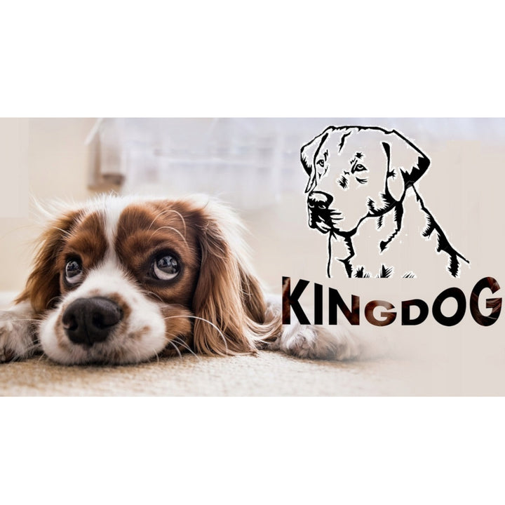 Kingdog - Groot honden- en kattenbed 75 x 65 | Rood- maat M