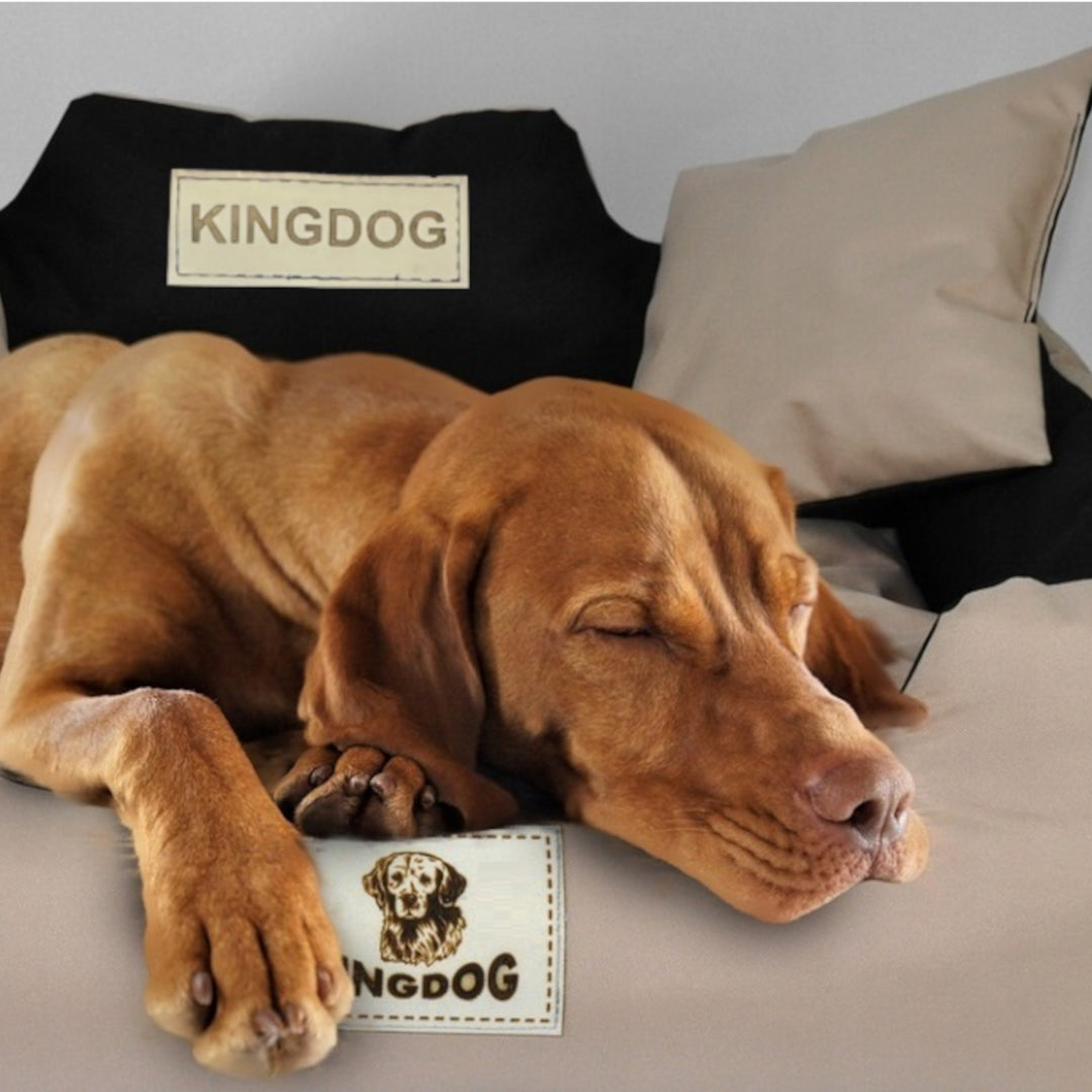 Kingdog - Groot honden- en kattenbed | Dierenmand 115 x 95 | Beige - maat XL