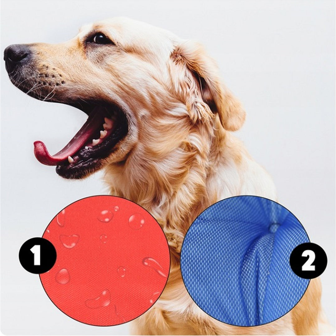 Ecco - Honden- en kattenbed met kussen | Binnenmaat: 40x30 / Buitenmaat: 55x45cm - Grijs / Zwart