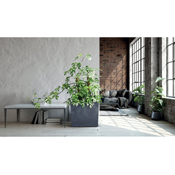 Prosperplast Furu Case Tower - Bloempot / Plantenbak met inzet - voor Binnen en Buiten - Antraciet