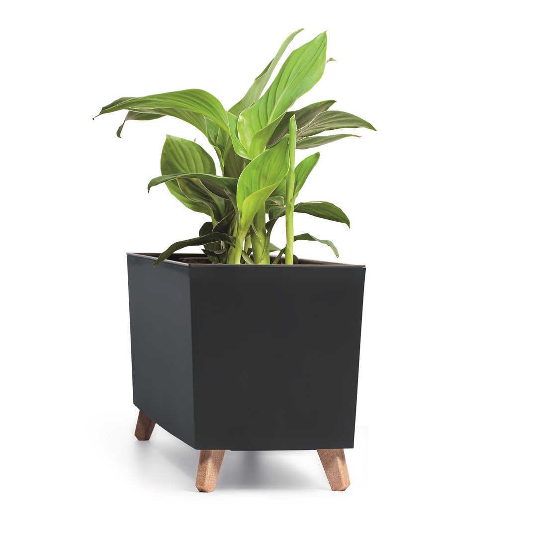 Prosperplast Urbi Case - Pot de fleur avec insert et pieds - Anthracite