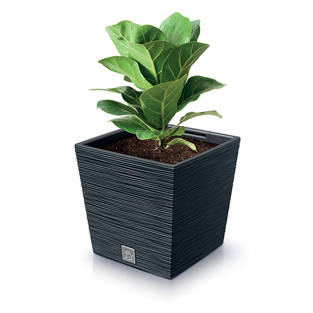 Prosperplast Furu Square Low - Bloempot / plantenbak - Antraciet - 10L