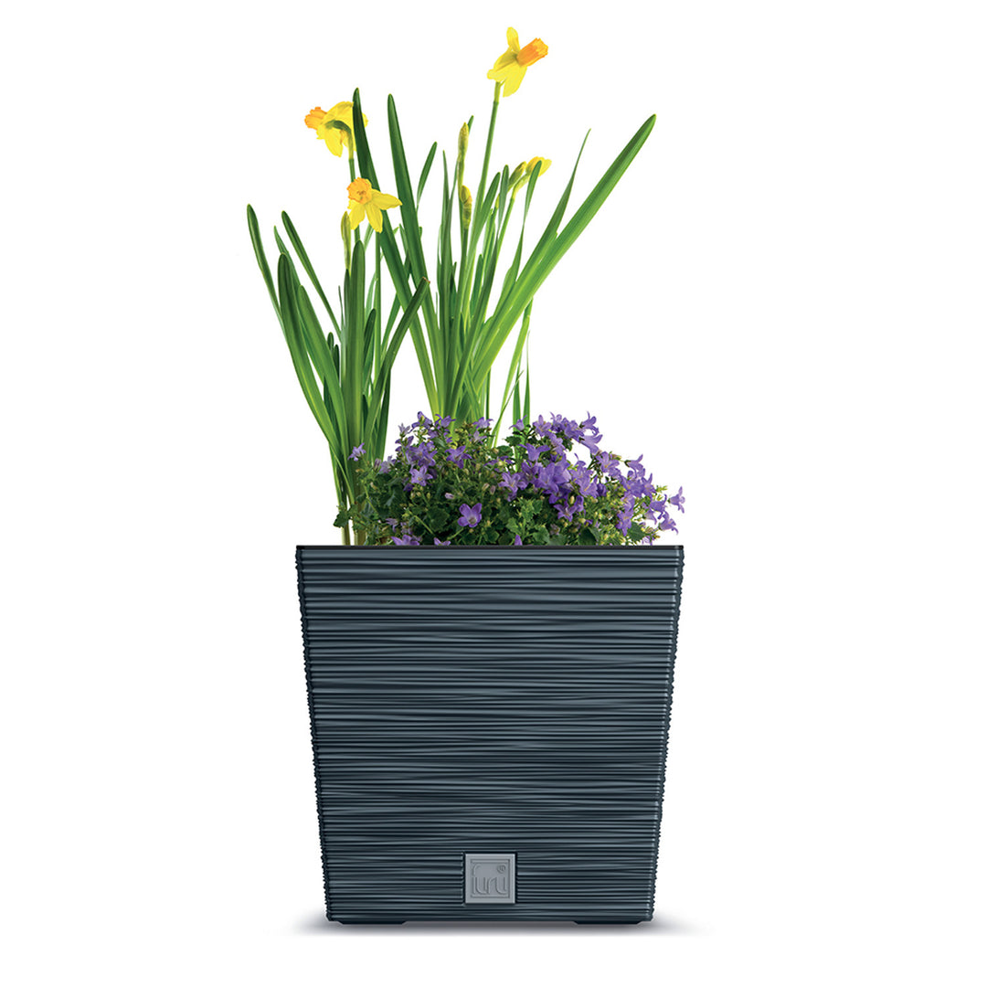 Prosperplast Furu Square Low bloempot met inzet DFS300-S433 - antraciet kleur