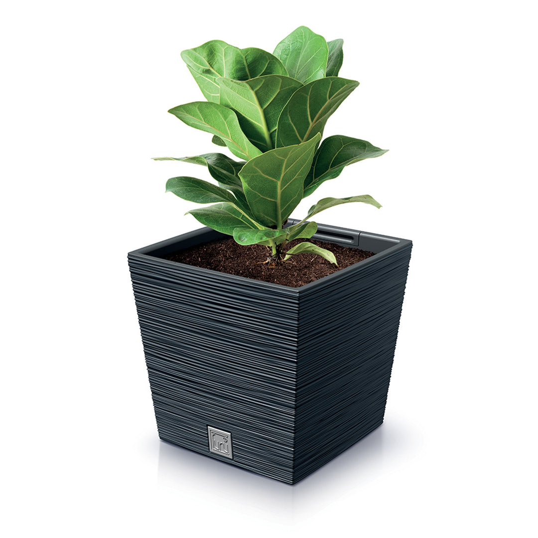 Prosperplast Furu Square Low bloempot met inzet DFS300-S433 - antraciet kleur