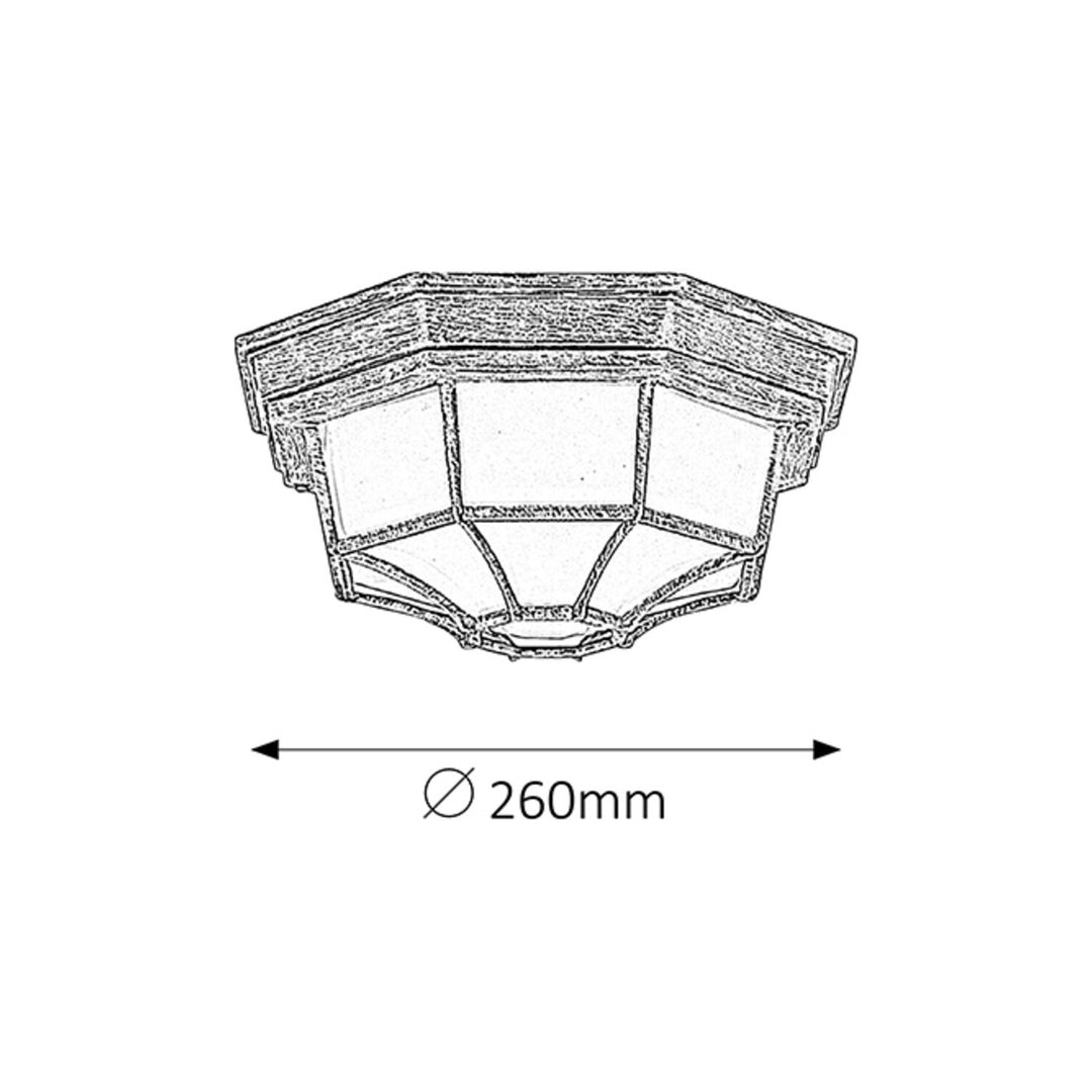Rabalux milano buiten plafondlamp 8376 metaal en glazen kap
